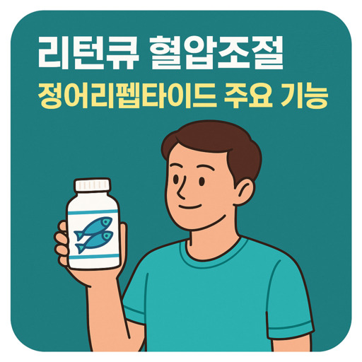 리턴큐-혈압조절-효능-정어리펩타이드-주요-기능.jpg